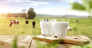 Susu Full Cream, Susu Low Fat, dan Susu Skim: Memahami Kesamaan dengan Perbedaan