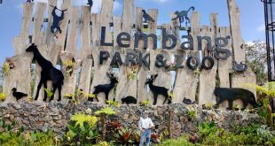 Wisata Lembang Park and Zoo Bandung : Serunya Bermain dan Belajar Bersama Satwa