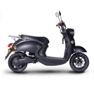 Frison T2 Baru