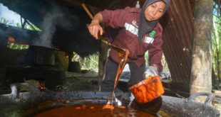 Gula Aren Pasaman Barat : Mencicipi Kelezatan Warisan Budaya yang Manis
