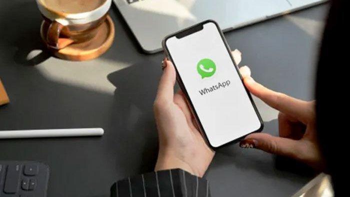 Cara Mengatasi Video WhatsApp yang Tidak Tersimpan di Galeri Ponsel