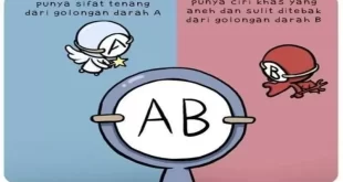 Karakteristik Golongan Darah AB