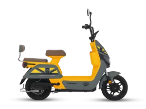 Sepeda Listrik Pacific Armour Terbaru