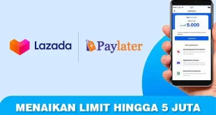 Belanja Aman dan Praktis : Panduan Mudah Cara Menerapkan Kredit di Lazada