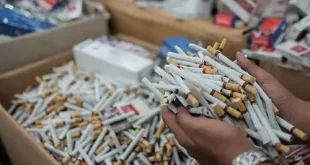 Tarif Cukai Rokok Diperkirakan Naik Lagi di 2025 dengan Penyederhanaan Layer: Implikasi Terhadap Industri dan Konsumen