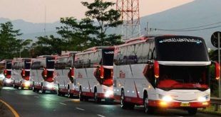 Revolusi Baterai: China Luncurkan Baterai Bus Listrik Berumur 15 Tahun