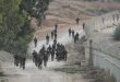 Bantuan Militer AS untuk Israel: Menganalisis Dukungan Rp 280,2 Triliun di Tengah Konflik Gaza